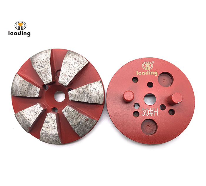 Multiple Mounted Diamond Grinding Puck With Two Pins