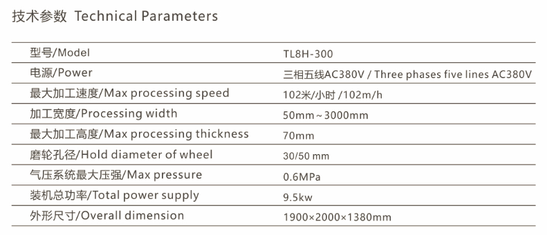 Double Side Stone Polishing Machine TL8H-300