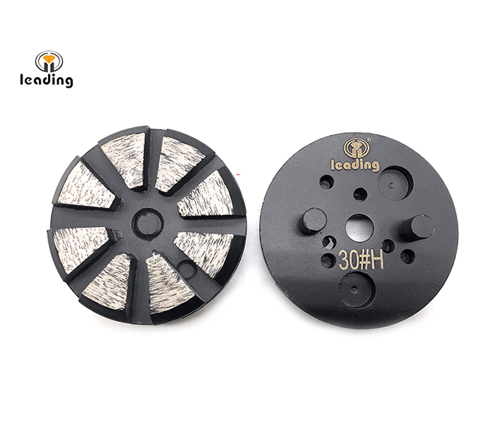 Multiple Mounted Diamond Grinding Puck With Two Pins