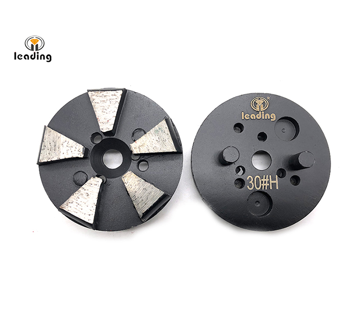 Multiple Mounted Diamond Grinding Puck With Two Pins