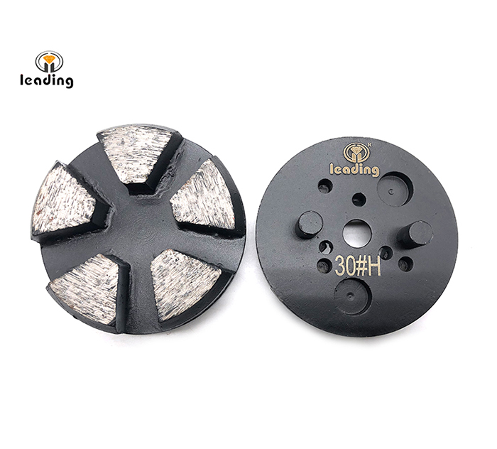 Multiple Mounted Diamond Grinding Puck With Two Pins