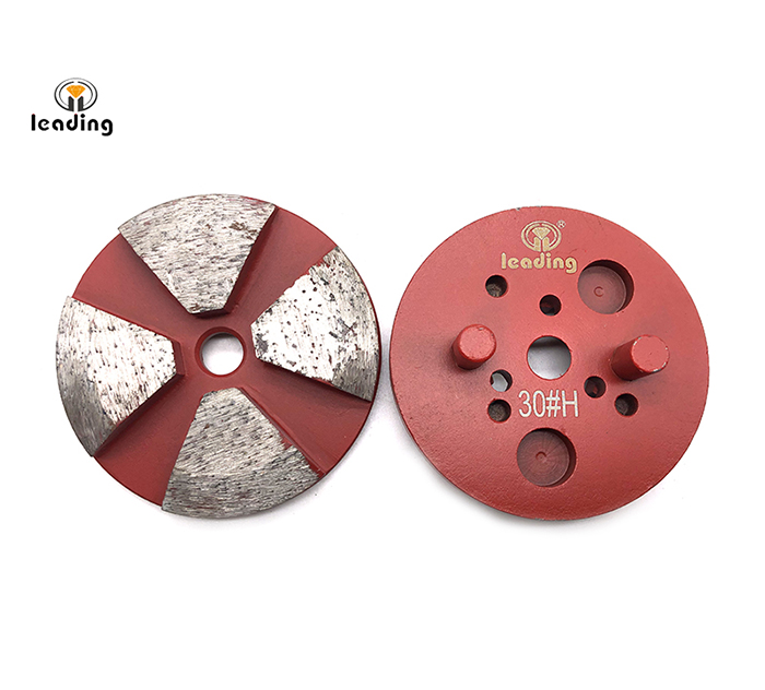 Multiple Mounted Diamond Grinding Puck With Two Pins